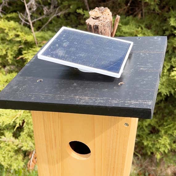 A solar panel over a bird house.