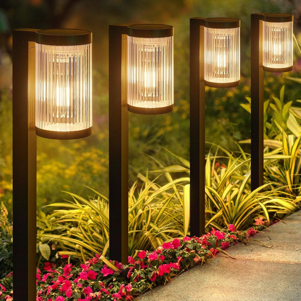 Solar scent light pack of 6