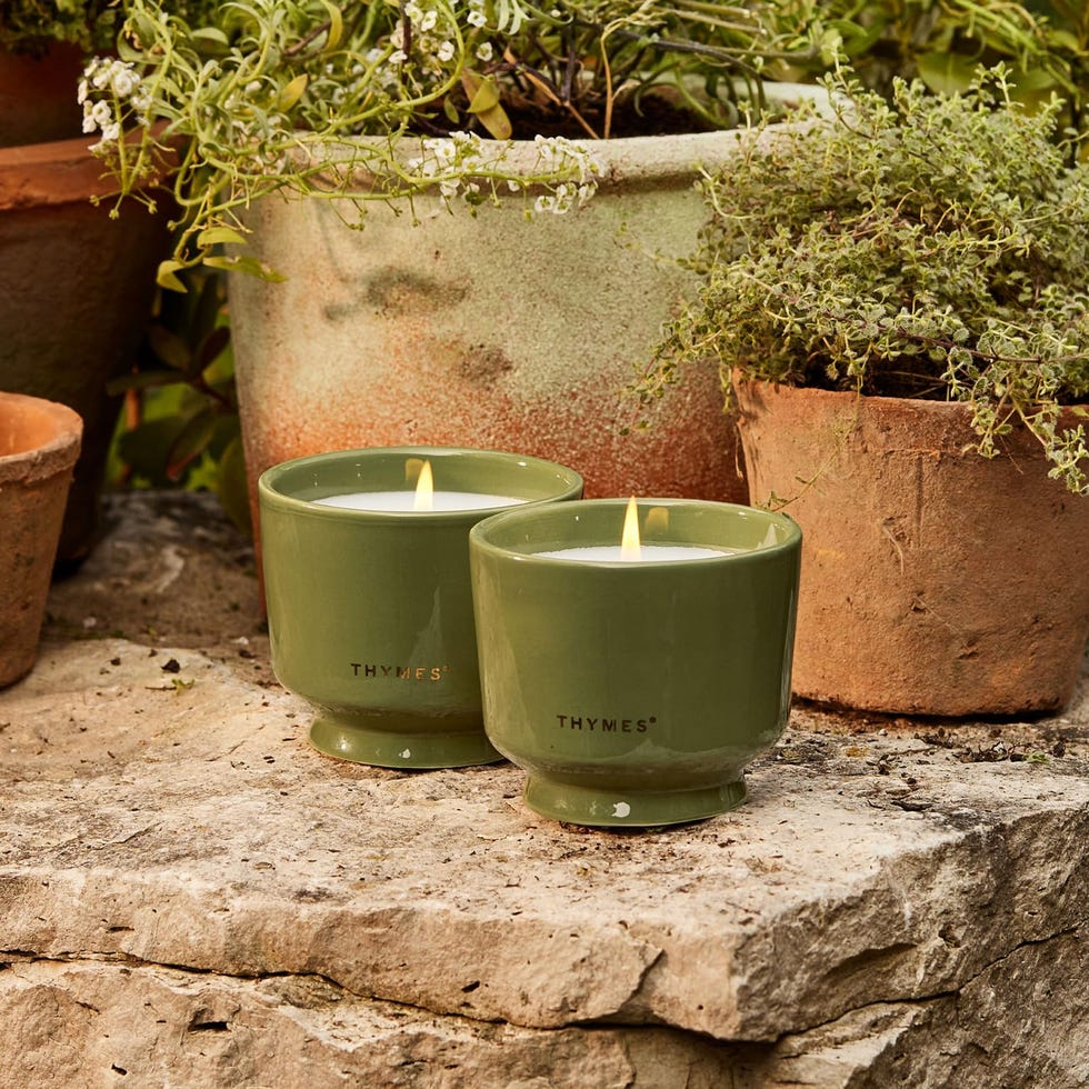 Citronella Grove Candles Set from 2 Citronella Grove Candles Set from 2
