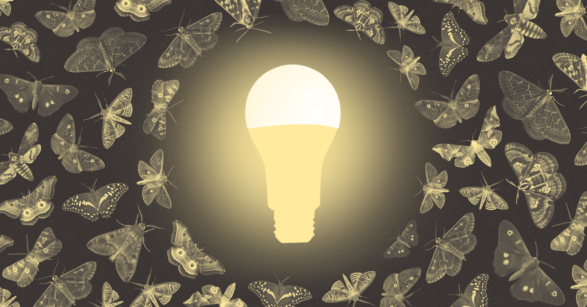 If you love moths (and you should), replace your veranda light with something better