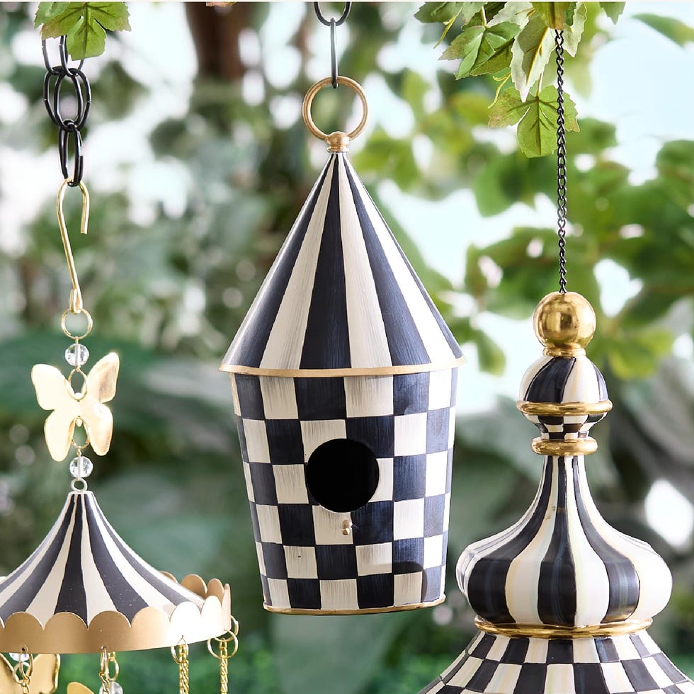 Polite bird house Polite bird house