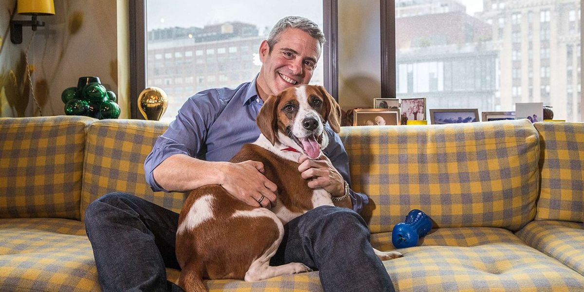 Andy Cohens High-end furniture sales Benefits LGBTQ+ cause