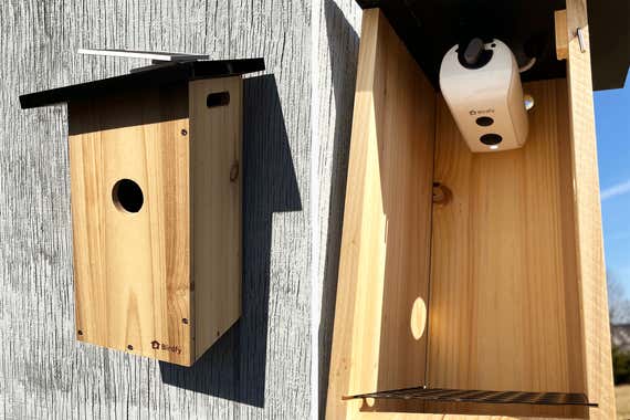 A photo of a bird house next to a photo of a camera in the bird house.