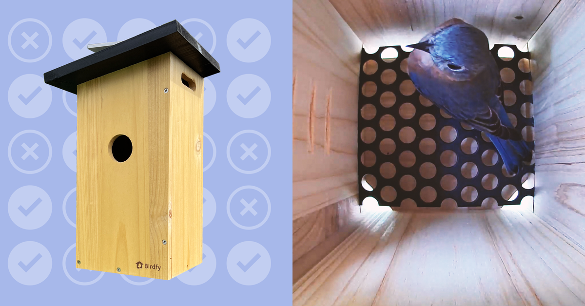 First we fell in love with an intelligent bird house. Then this clever bird house stolen our hearts.