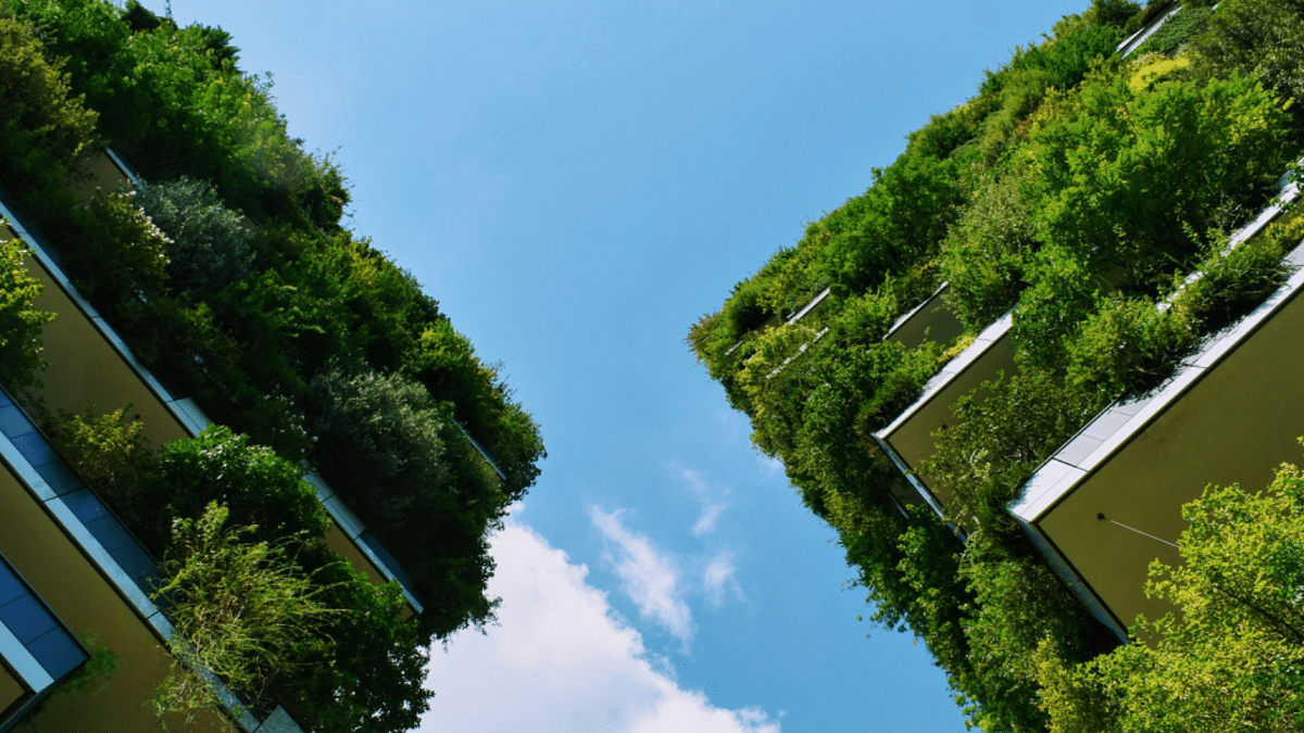How do you decarbonize urban India? Start planning as you plan