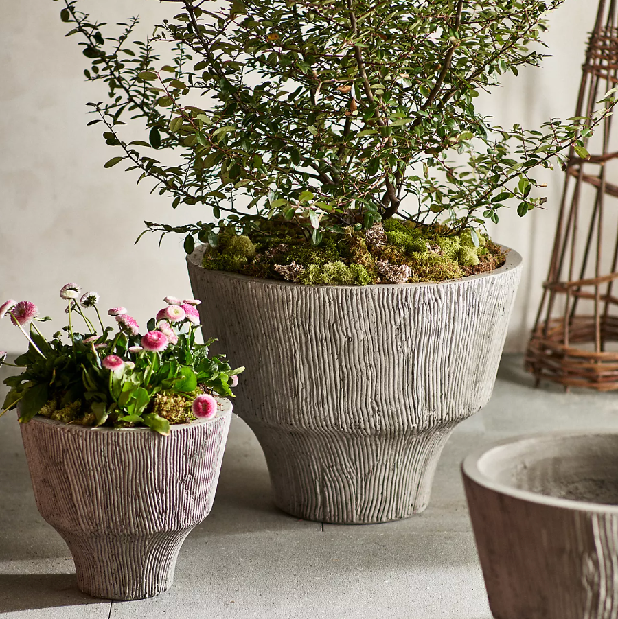 Corrugated structured concrete planters Corrugated structured concrete planters