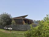 In Australia, a Net -Zero revision -Photo 3 of 22 -