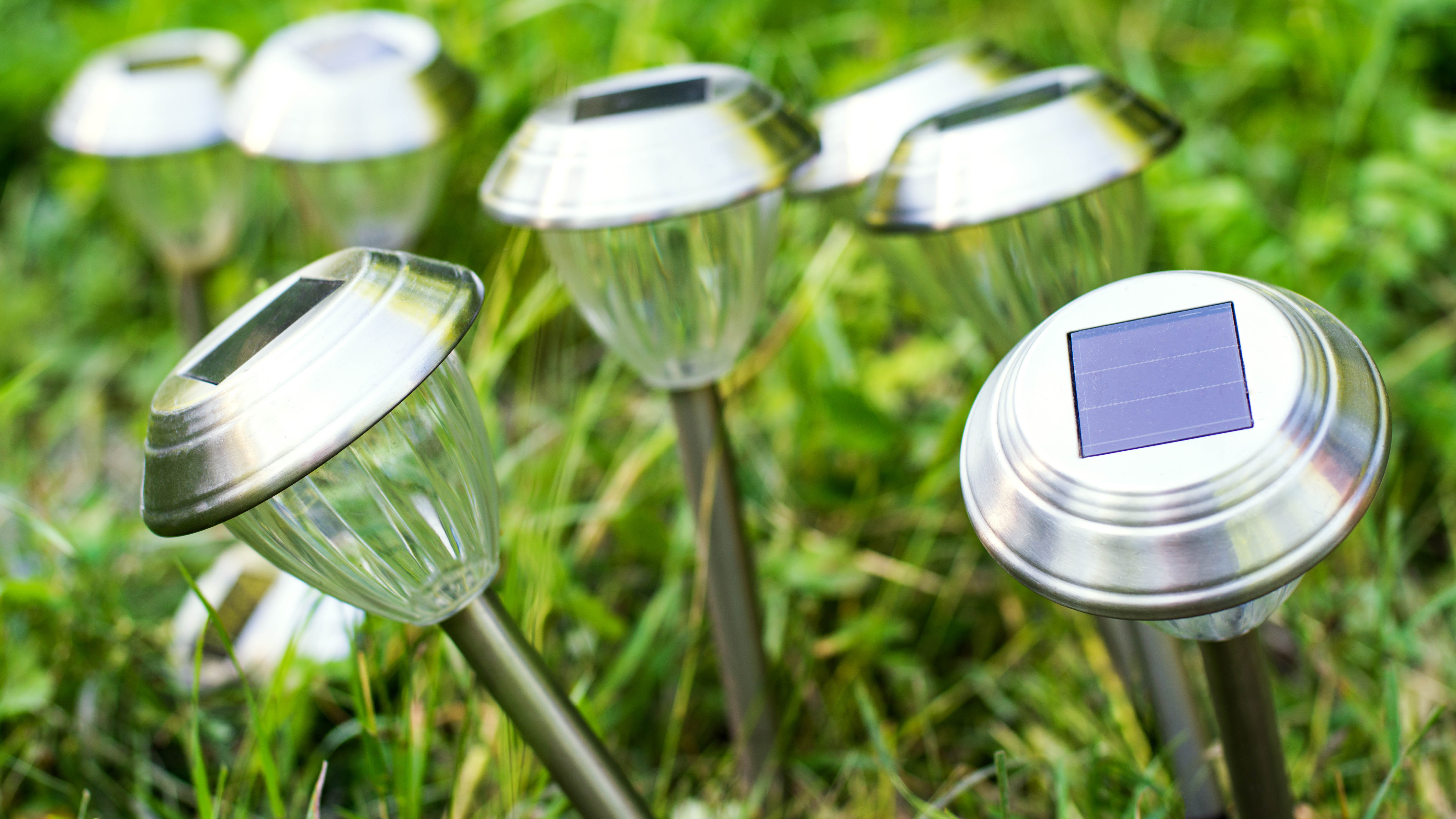 Solar lights in the grass