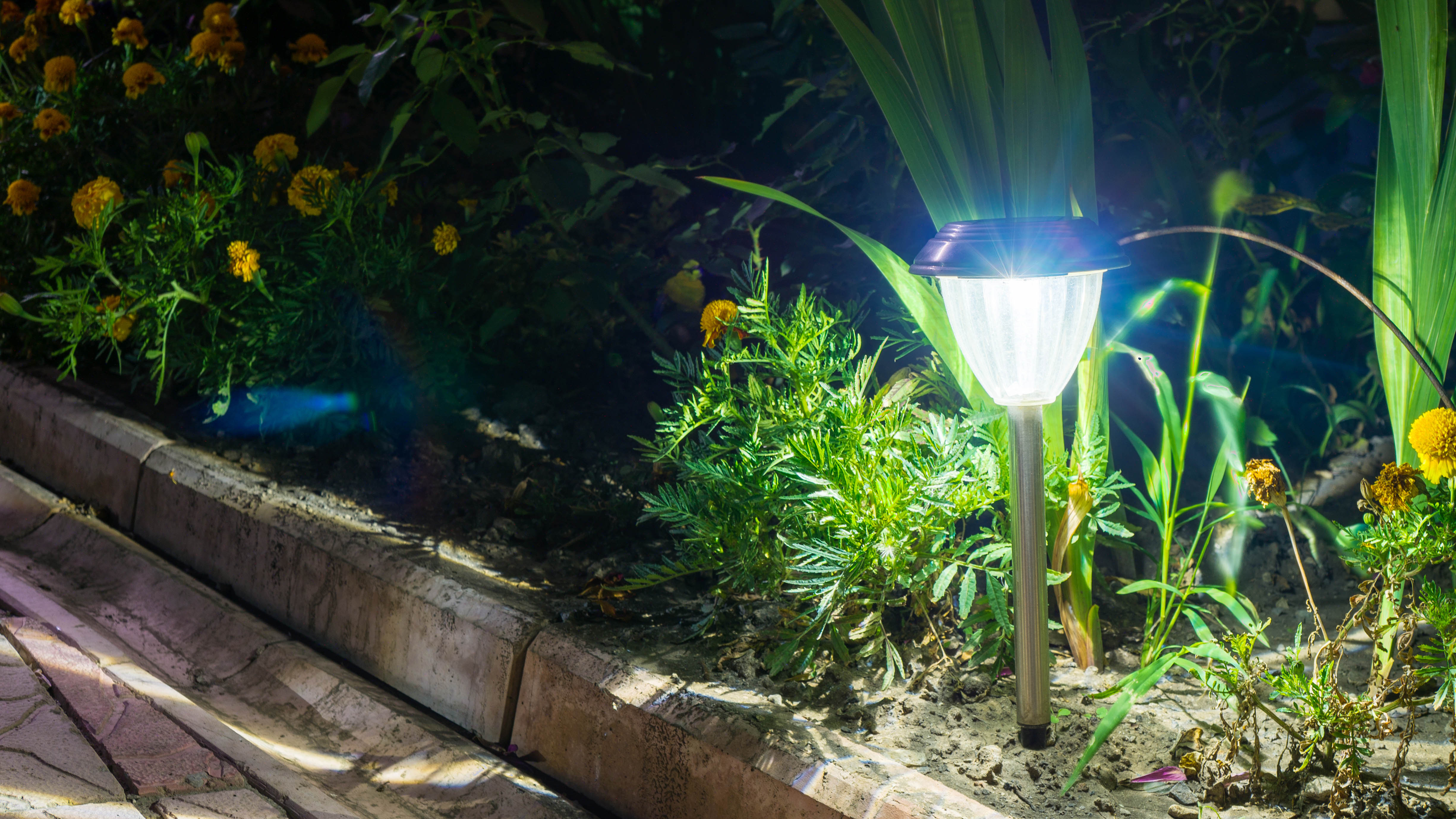 Solar lights