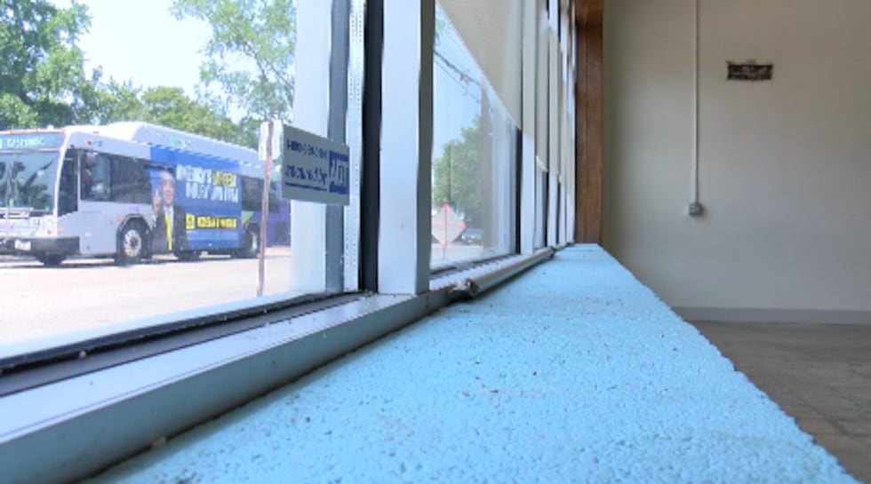 RACC is looking for design suggestions for New Shelter.