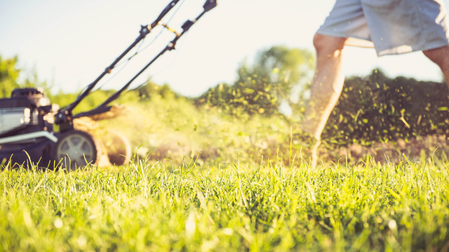 3 lawn care errors that kill your grass silently this summer
