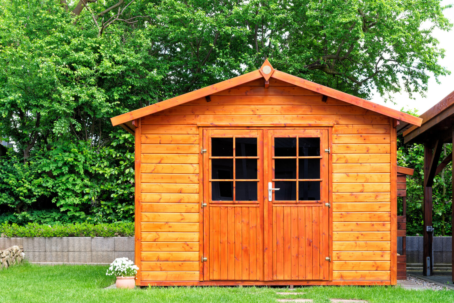 Tax -friendly backyard ideas with a small budget for the summer of 2025