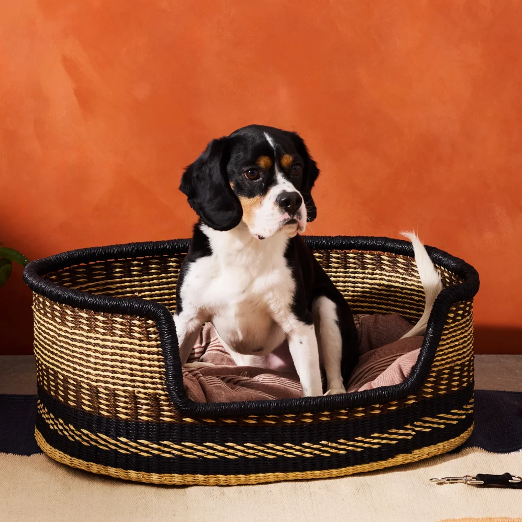 16 black business we love. Juneteenth favorites. Goodee dog bed basket.