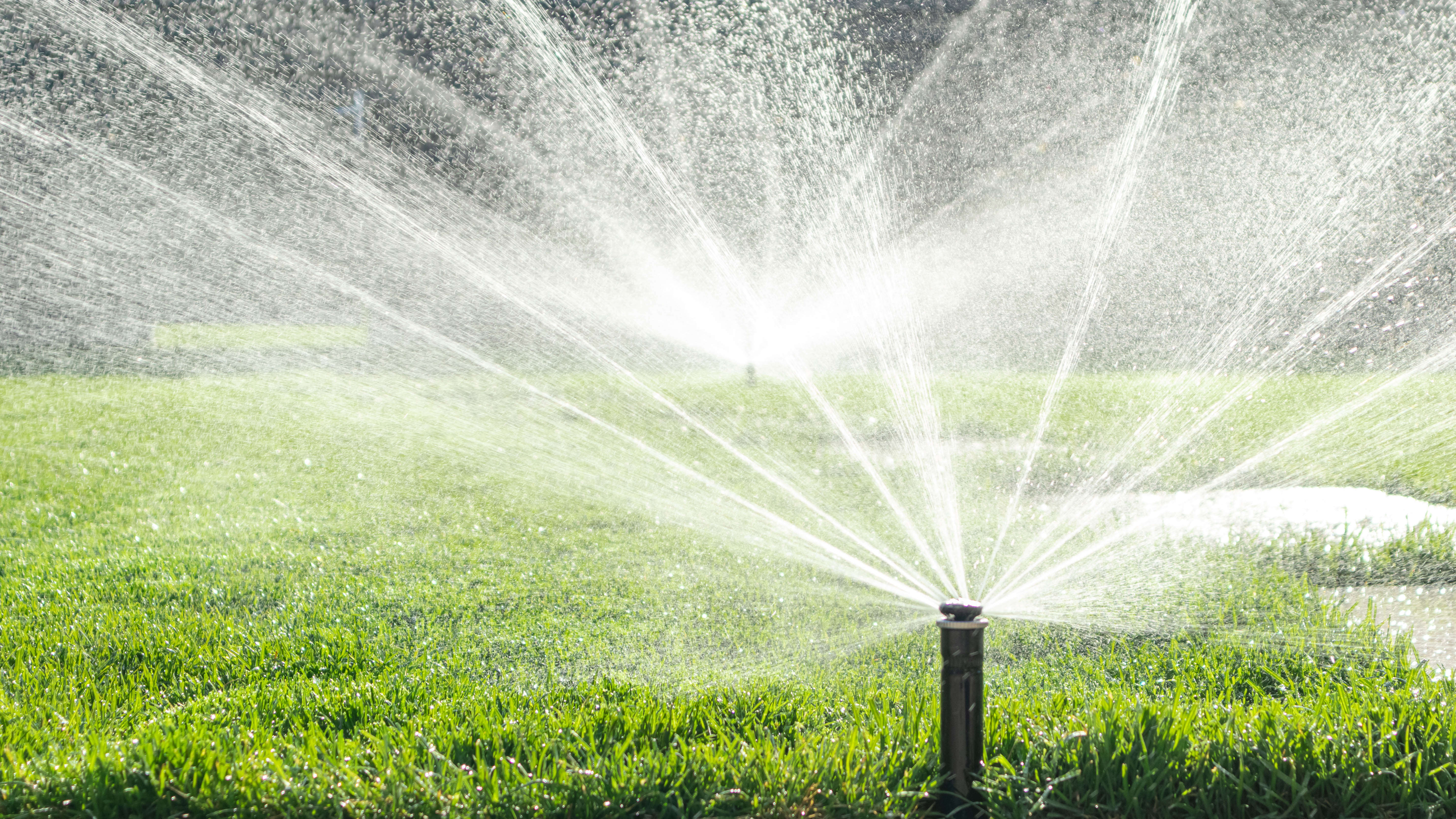 Pour the lawn with sprinklers
