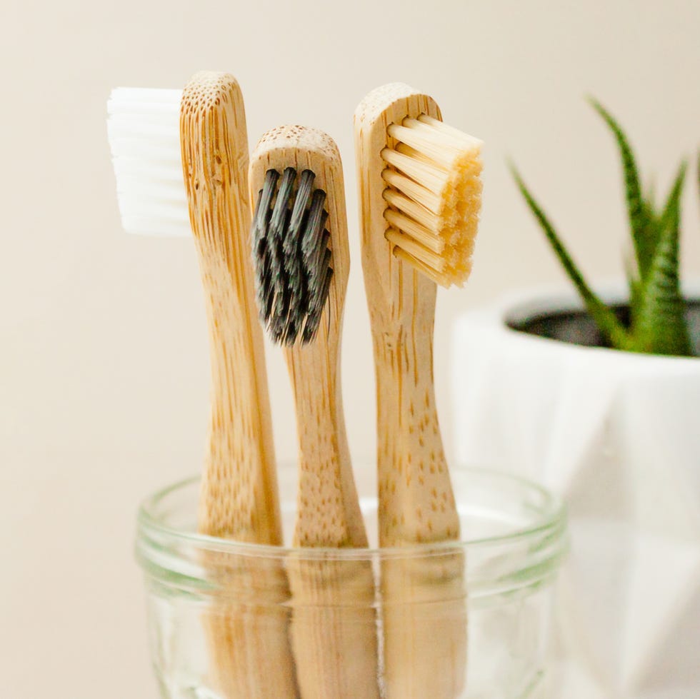 Family sets three bamboo toothbrushes, juicy plant in a white pot on a light gray background. Ecological bathroom concept. Close up. Selective soft focus. Shallow field depth. Text copier room.
