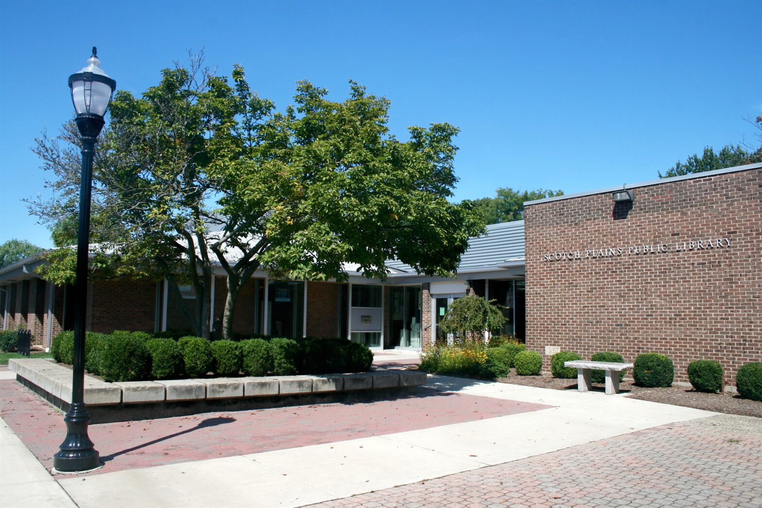 June 26 | "This is your brain on the color" Zoom presentation via Scotch Plains Library