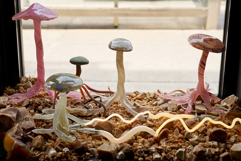 Colorful glass mushrooms that are exhibited on a stone bed with a window.