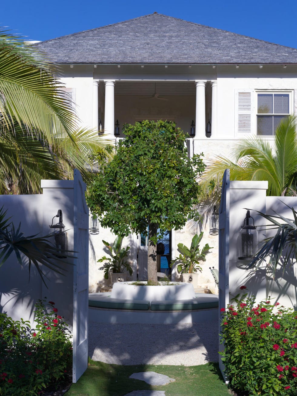 Photo of an airy, vegetable courtyard.