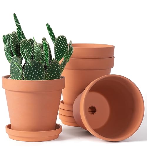 6 -Colle terracotta and clay pots for plants with saucers, middle terracotta plants with drainage hole, flower button with a tablet, terracotta pot for interior plant -pack with 4 planters
