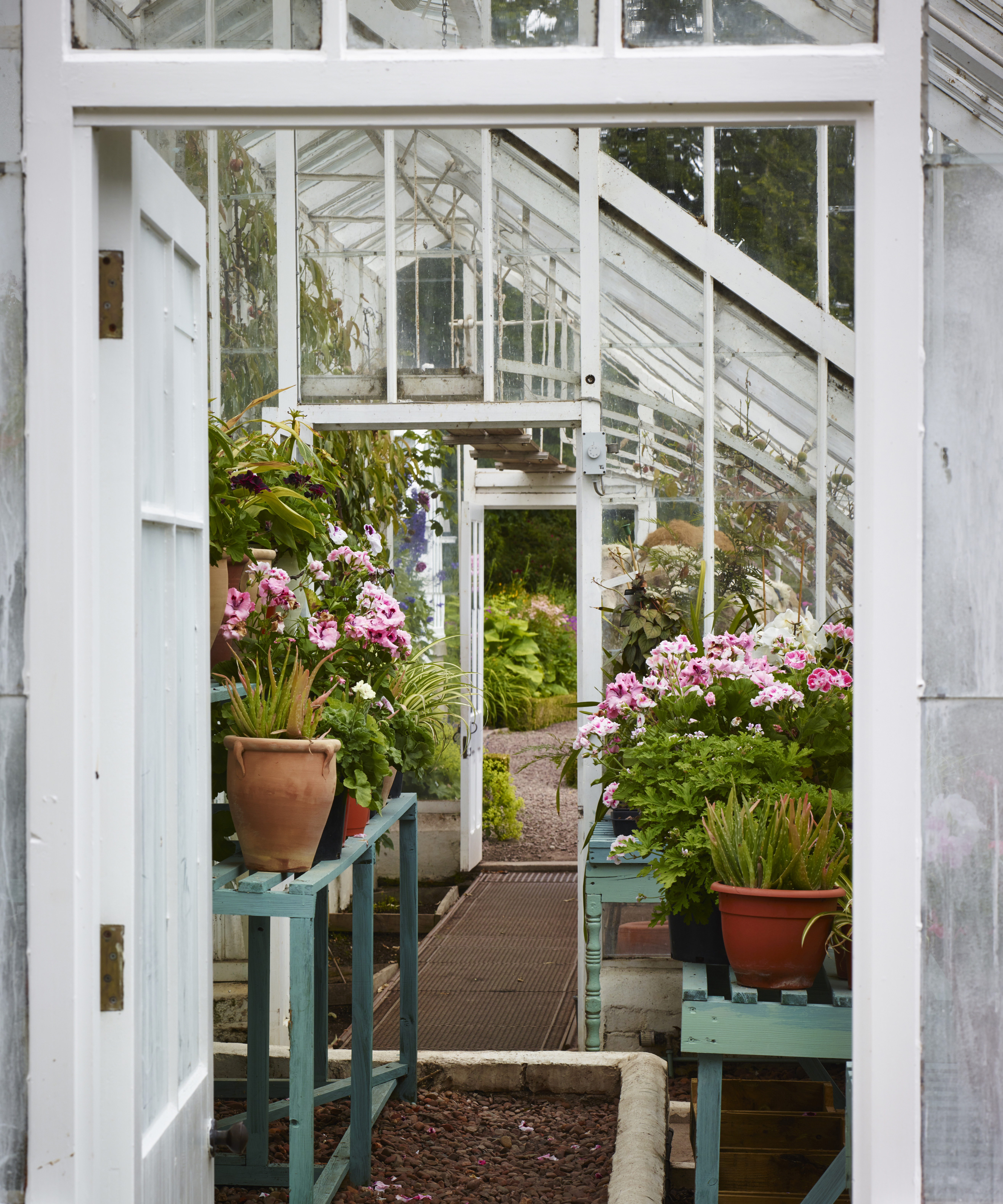 Monty Dons greenhouse tips