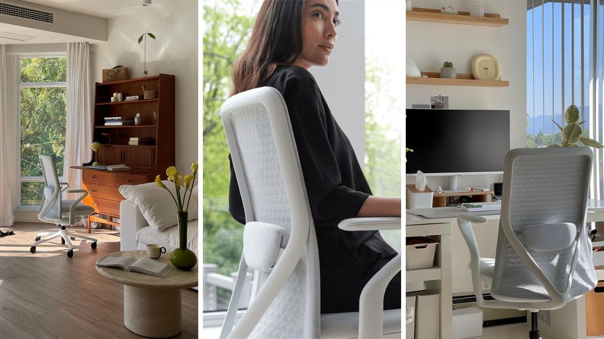 "The world's best office chair" lowers the price at OfficeWorks: "An absolute winner"