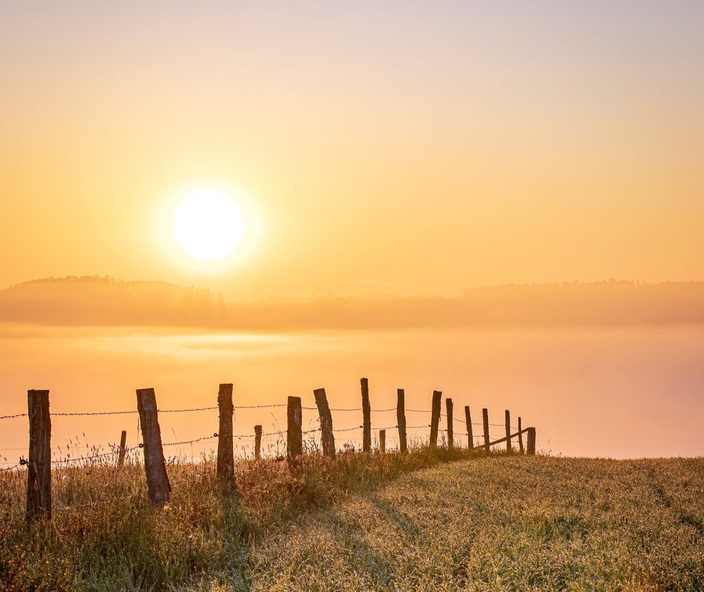 How to stay cool at home during the heat wave