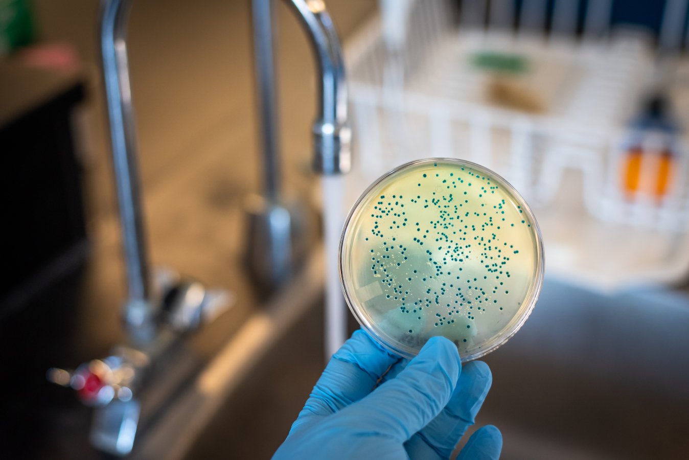 AI designs medication for drug -resistant infections