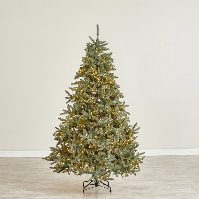 Balsam Hill Classic Blue Fichte Baum