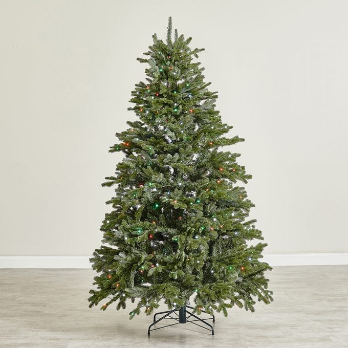 BH Fraser Tannenbaum with a sparkling light show