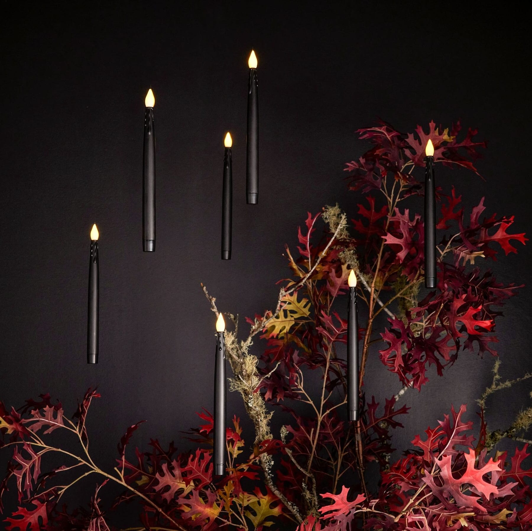 Pottery Barn's Halloween shop has creepy offers, up to 50% discount