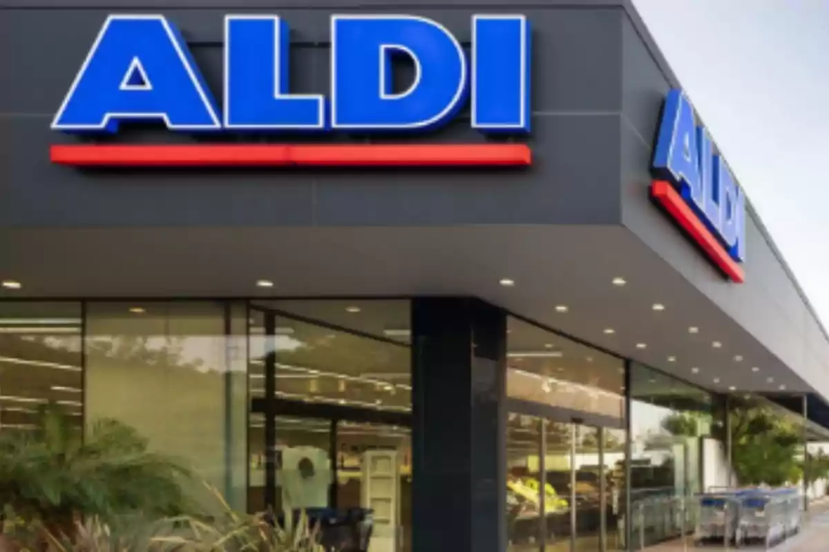 Late front with the Aldi logo in large blue letters on a gray background. Late front with the Aldi logo in large blue letters on a gray background.