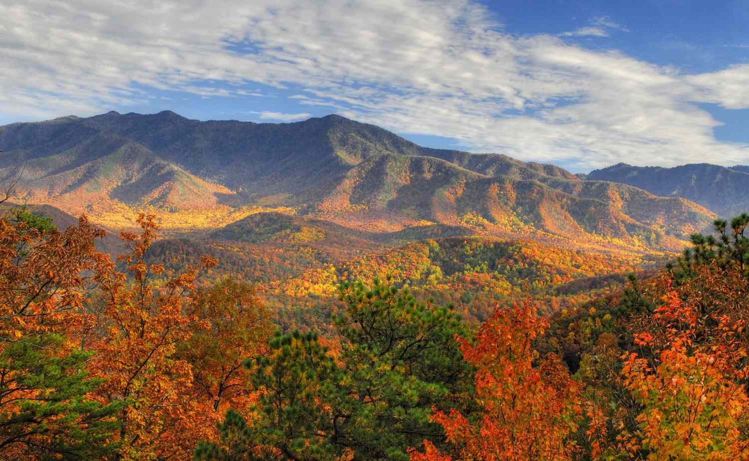 20 must autumn trips through the south