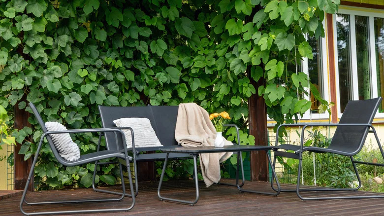A light metal terrace furniture, which is surrounded by green