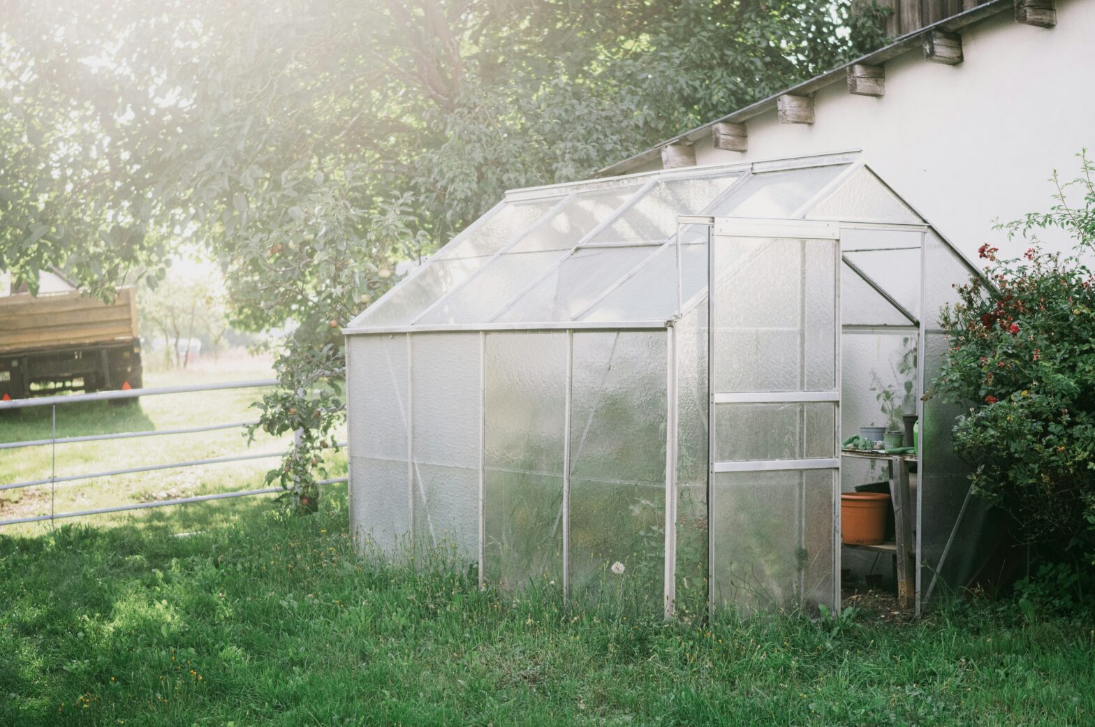 The lazy gardener manual for a flowering garden in 2025