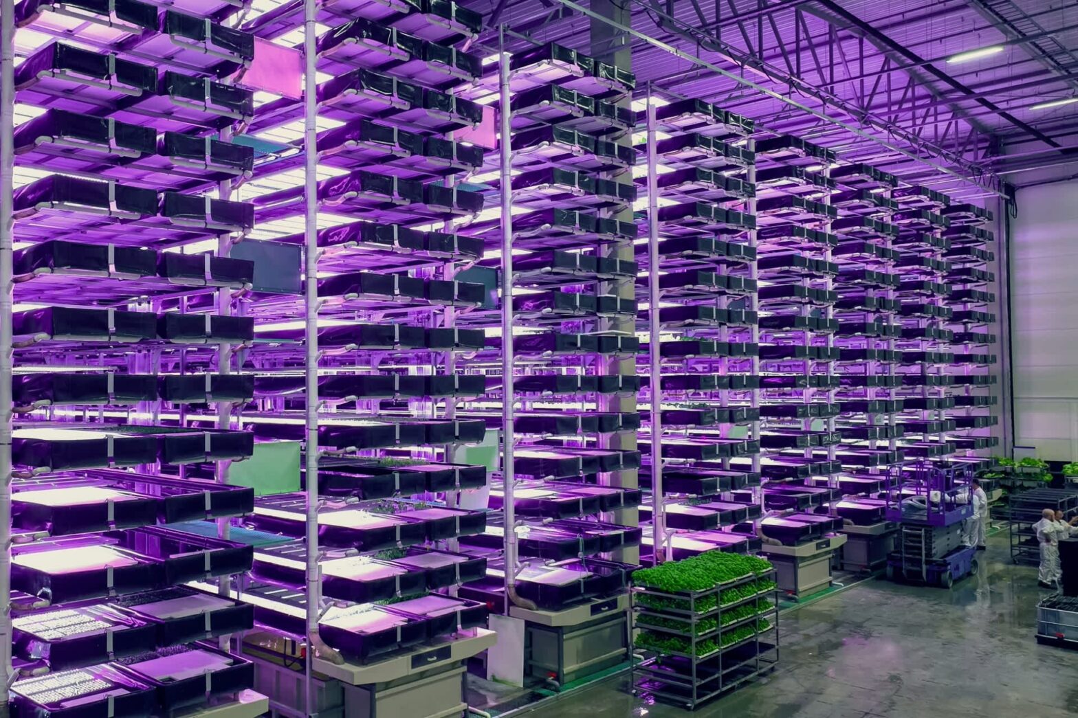 "There is a growing need"