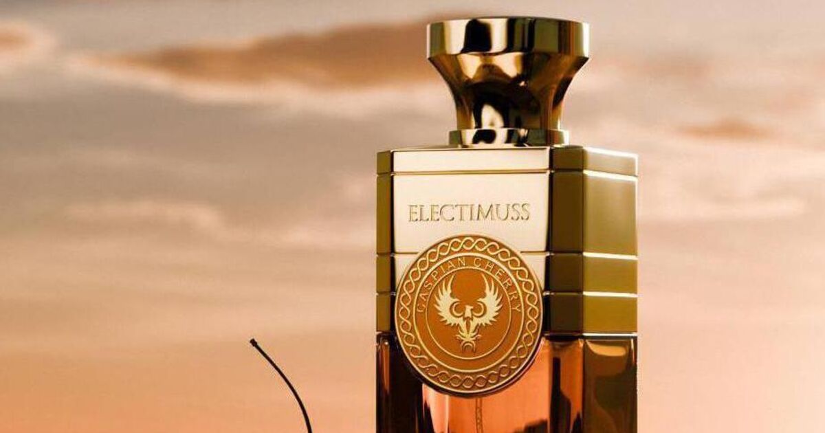 Hot over the fragrance of new fragrances, intelligent showers and seasonal flavors