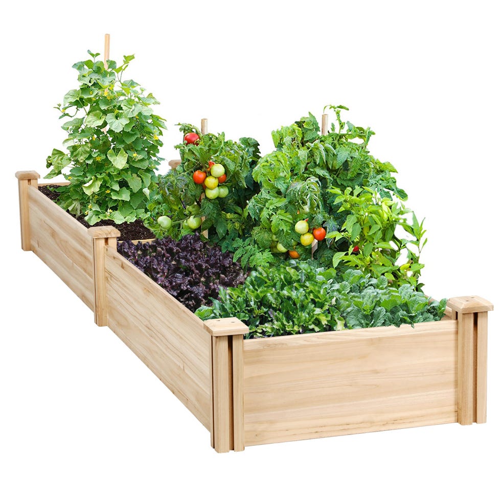 Yaheetech 8 × 2 foot wood raised garden bed 