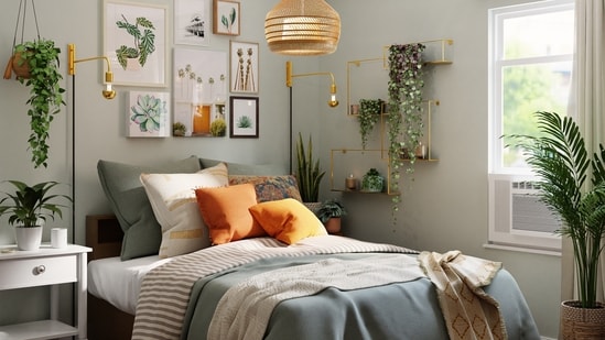 Bring life to your room with the help of plants. (Credit: Unplash)