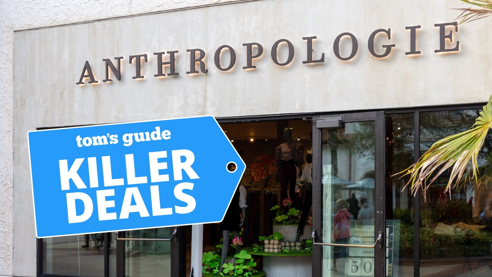 The autumn sale of anthropology is live of 7 US dollars - you get up to 50% discount on offers for your house