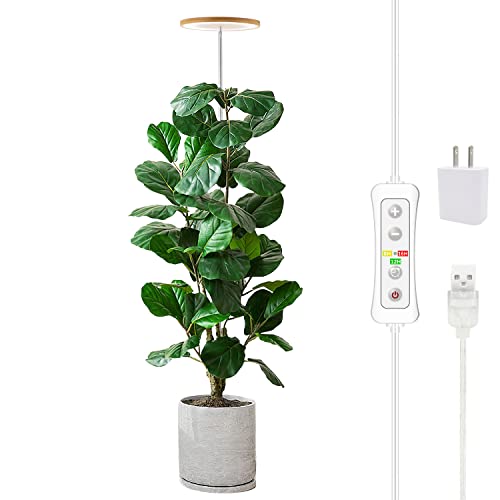 Plant Grow Light, Yadoker LED Grow Light, Full Spectrum for Indoor Plants, Height Adjustable, Automatic Timer, 5V Low Safe Voltage, Large Plant Light Idea