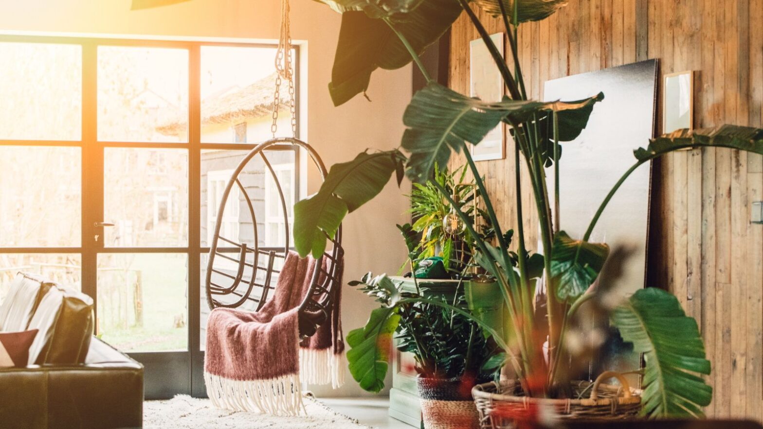 Gorgeous Grow Lights: 9 to spice up your houseplant display