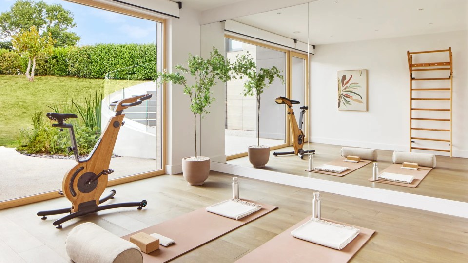 A home gym with an exercise bike, two yoga mats, a mirror and views of a garden.