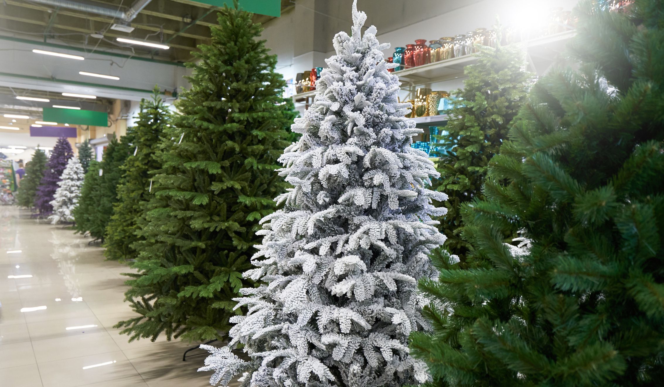 Sale of many artificial Christmas trees in green, purple and white in a decoration store