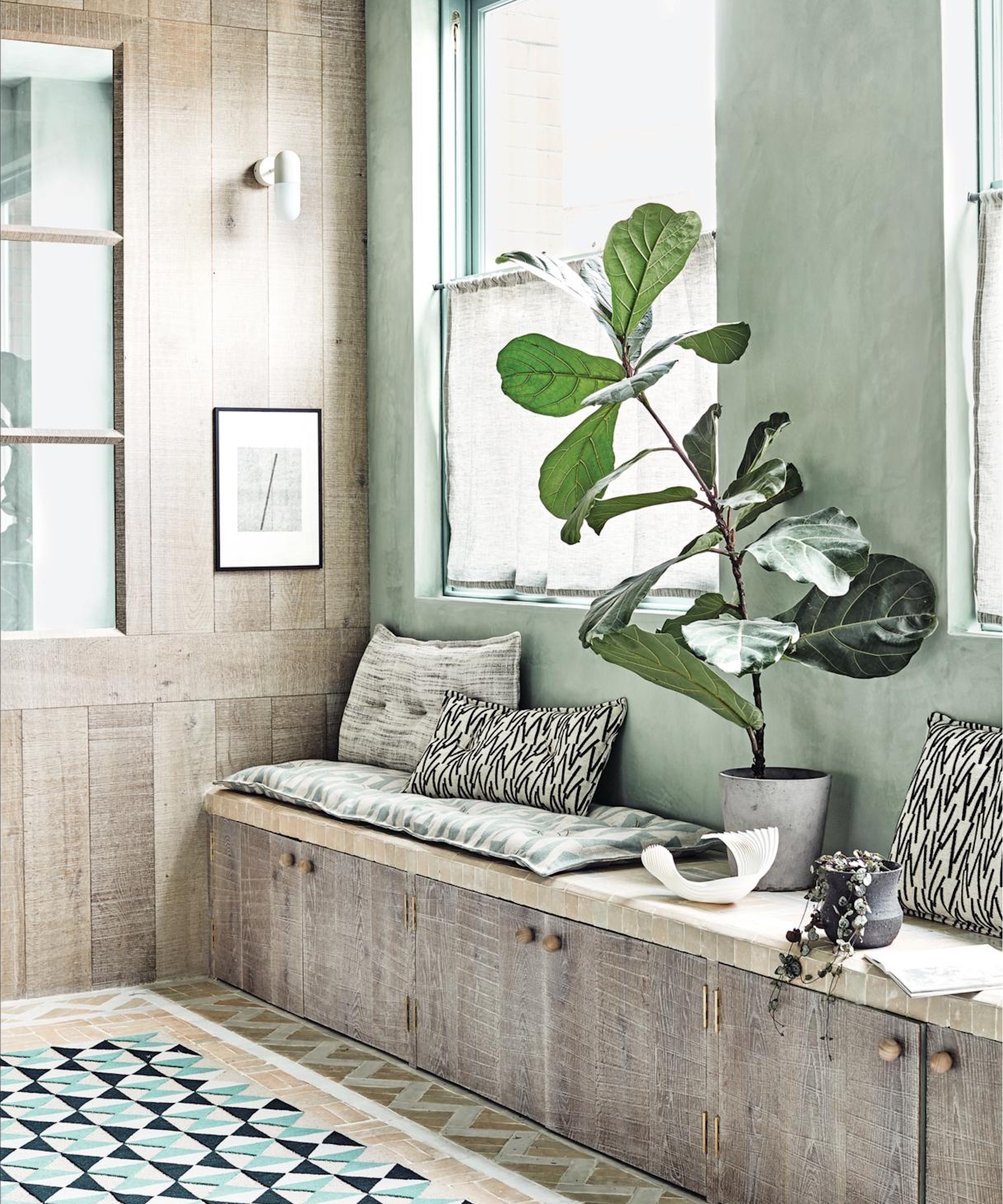 Houseplant in the window