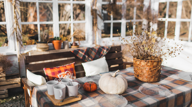 modern fall decor in a winter garden with natural light.