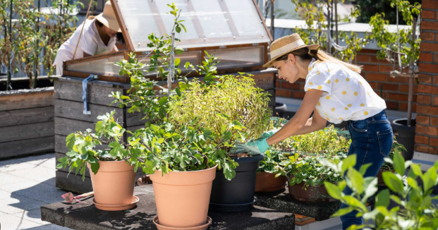 5 Urban Gardening Trends You'll Want to Try This Year | Home design